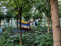 -南宫五洲植物乐园