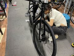 -道路口单车爱瓦士dahon大行