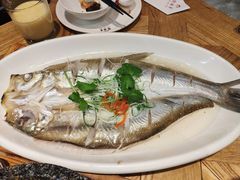 太湖白鱼清蒸-新梅华(太仓万达店)