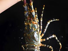 -松坂屋日料自助(长城路店)