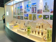 -广东中医药博物馆