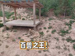 -太原动物园