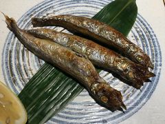 -酒井酱子·深夜食堂(东城汇店)