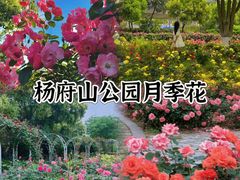 -三垟湿地