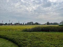 -中国天府农业博览园