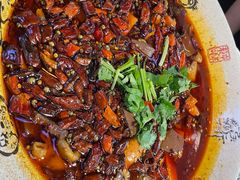 精品毛血旺-陈麻婆豆腐(旗舰店)