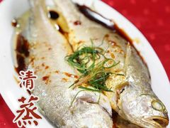 -蛇口康乐快餐鱼仔档(翠苑小区店)