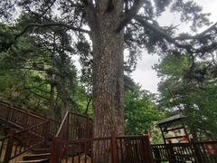 -终南山南五台景区