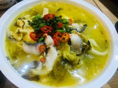 青花椒酸菜鱼-鱼你在一起(南开天佑城店)