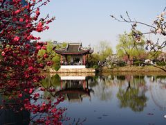 -无锡蠡湖国家湿地公园-蠡园