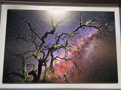 -罗红摄影艺术馆