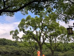 -苏州上方山国家森林公园