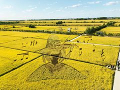 -稻梦空间冰雪小镇