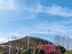 -杭州城北体育公园