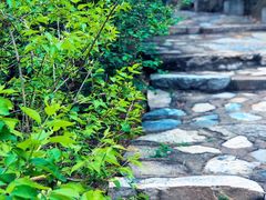 -北京鹫峰国家森林公园