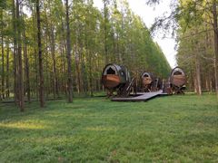 -黄海国家森林公园