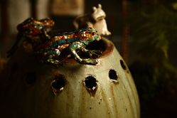 店内环境-老黑造型