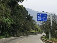-铁山坪森林公园