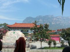 android_upload_pic-云台山风景名胜区