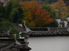 -塔川景区
