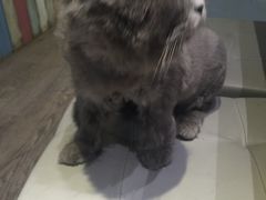 -小时光咖啡馆(开森度假森林店)