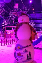 -圣名游乐城冰雪大世界