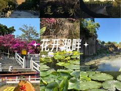 -广州莲花山旅游区