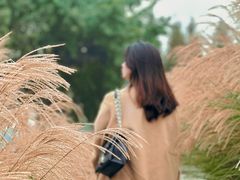 -眉山湿地公园(东坡区)