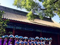 -北京市府学胡同小学