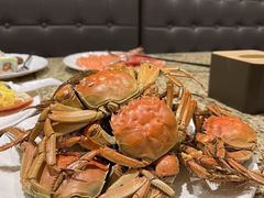 -禾斗海鲜自助(市北诺德店)