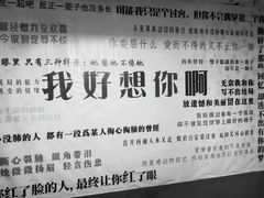 -成都失恋馆