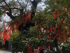 -宝泉胜境旅游度假区