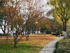 -苏堤停车场