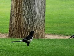 -中华世纪坛-停车场