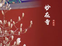 -妙应寺白塔