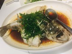 清蒸鲈鱼-至潮餐厅精致粤菜·活鲈鱼·走地鸡(珠江新城店)