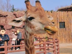 -济南野生动物世界