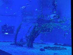 -前王院•巧克力海鲜市集餐厅(万平口店)