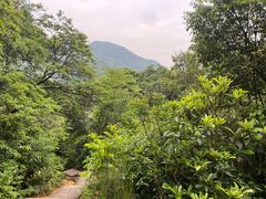 -五泄景区