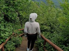 -天女山森林公园