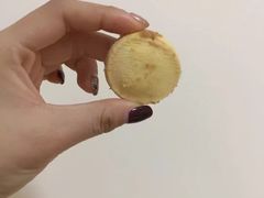 -珍妮曲奇聪明小熊(尖沙咀店)