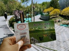 -青藏高原野生动物园