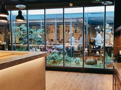 -拈菜(观音桥阳光世纪店)