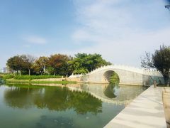 -月湖风景区