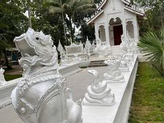 -西双版纳傣族园