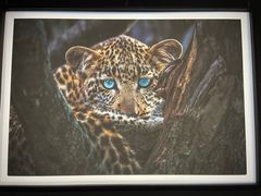 -罗红摄影艺术馆