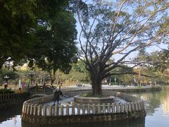 -荔枝公园(福田区)