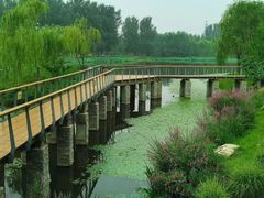 -东郊湿地公园
