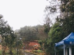 -神光山国家森林公园