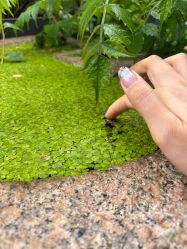 -芊冉•美甲美睫纹绣